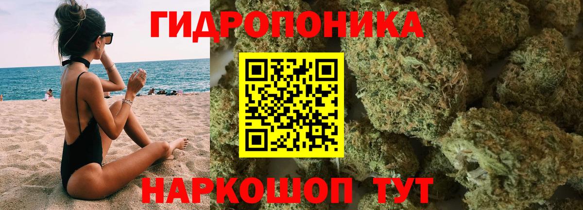 Бошки марихуана конопля  Канабис White Widow  Волхов  Вход с VPN 